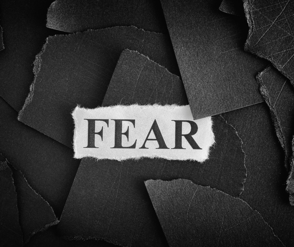 Marketing consultants pricing comparisons driven by fear-based buyer decision psychology &ndash; The Digital Takeover&reg;